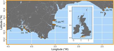 Environment predicts seagrass genotype, phenotype, and associated biodiversity in a temperate ecosystem